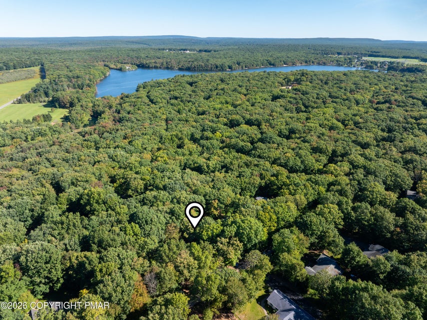Aerial View in Lake Community